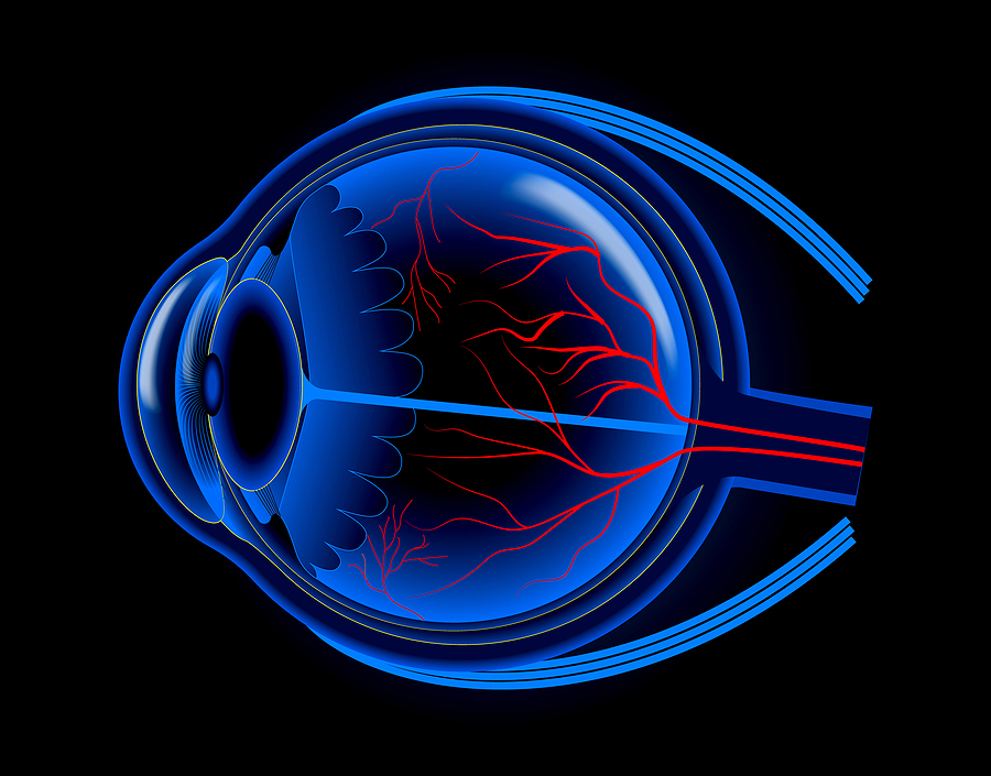 Corneal Cross-Linking